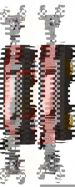 2 Pole, 120 to 277 VAC, 20 Amp, Industrial Grade Toggle Wall Switch